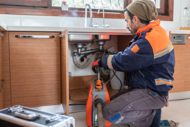 Best Affordable Plumbing Services  in Lake City, MN