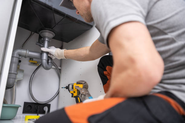Best Plumbing Repair Near Me  in Lake City, MN