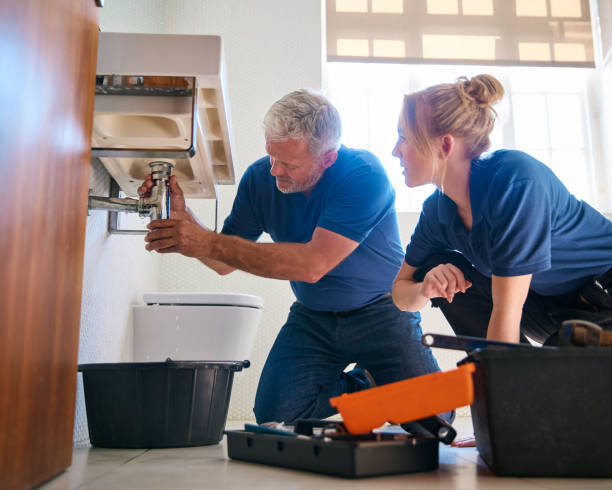 Best Commercial Plumbing Services  in Lake City, MN